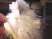 Buncrimp