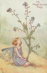 Forgetmenot