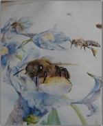 Bee_picture_3 Bee_picture_3