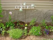 Garden05