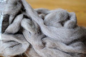 Woolybuns_Polworth_angora