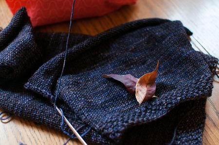 Sleeve_leaves2 Sleeve_leaves2