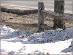 Front_split_rail_fence