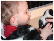 Aidan_pup_2