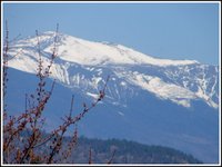 Mt_wash_close Mt_wash_close