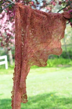 Maplewing_tree_narrow