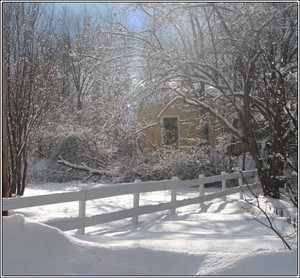 Morning_after_snow_2