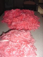 Cherryangora