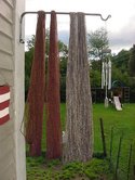 Hangskeins