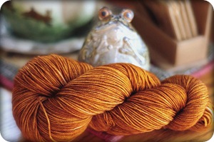 harmony pumpkin patch1