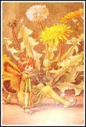 Dandelion_fairy