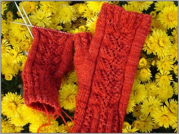 Delicato_almost_finished_2