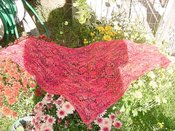 Koigshawl2_1 Koigshawl2_1