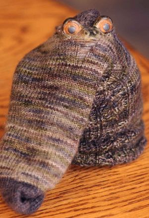 Frog in sock