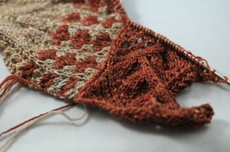 Cactusflowerpanel Cactusflowerpanel