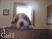 Girl13wk