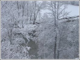 Winterpic_6