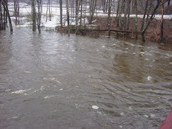 Flood1