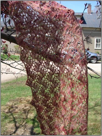 Boing_in_the_breeze Boing_in_the_breeze