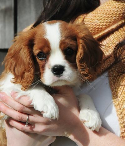 Ellie 14 weeks close