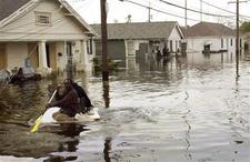 Neworleans_1
