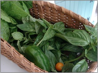Veggie_basket_4