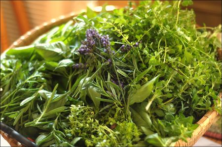 Herbs in basket