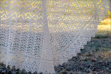 Shawlclose2 Shawlclose2