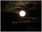 Fullmoon3