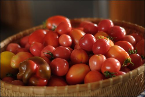 Tomatoes
