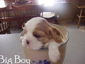 Bgboy3wk_2