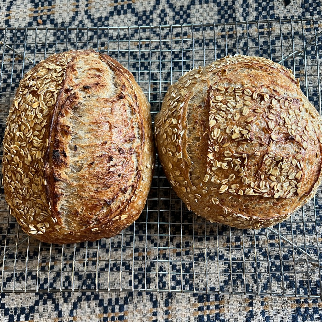 Two freshly baked loaves of sourdough bread with a golden crust and sprinkled with oats, resting on a wire cooling rack.