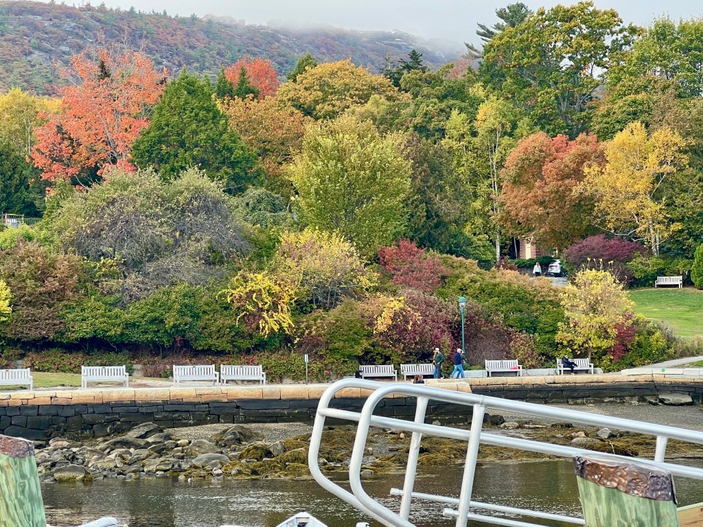 A scenic view of a waterfront park with colorful autumn foliage. People are walking along a path near the water, and benches are visible in the background.